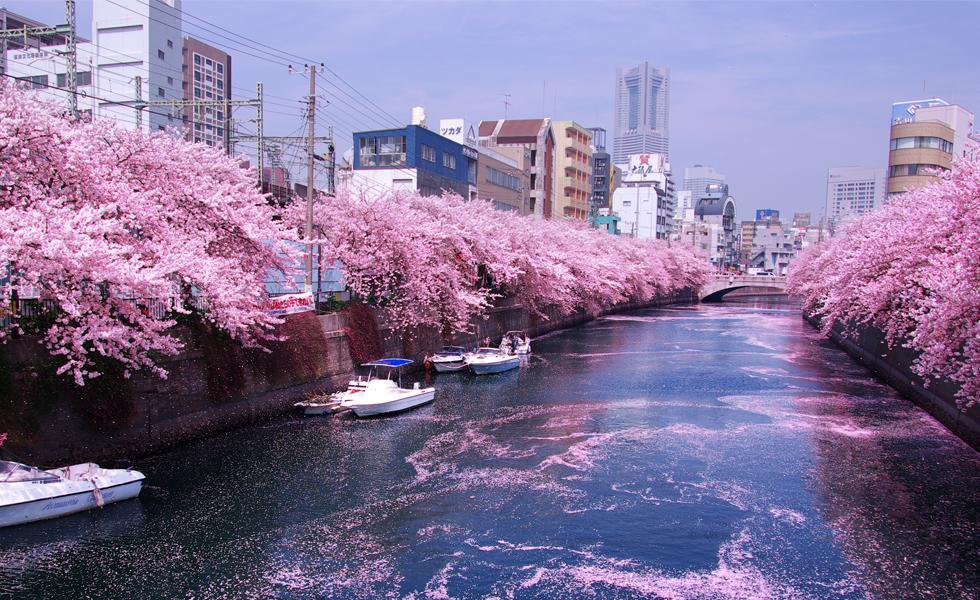 Appartamento Junfukuya Osaka Esterno foto
